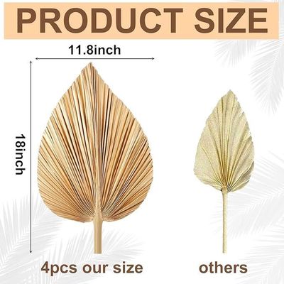 Logo Vitalucks écologique Compostable à la main 4 pièces Grand or naturel