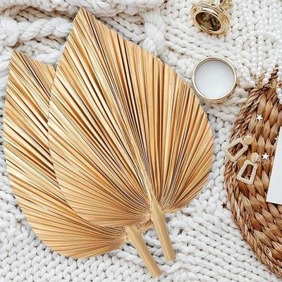 Logo Vitalucks écologique Compostable à la main 4 pièces Grand or naturel