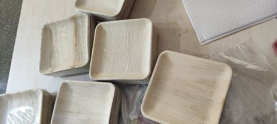 Eco-friendly 20 Pack Biodégradable Plaques de feuilles de palmier 10 pouces carrés Robuste comme le bambou Elegant jetable