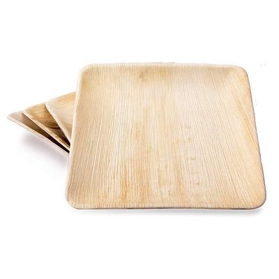 6x9 pouces Palm Leaf Square Plate de dîner pour les fêtes
