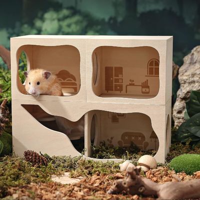 Maison en bois respirante pour petits animaux Chambre personnalisable pour se cacher et explorer