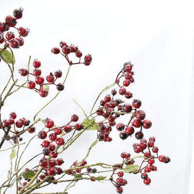 Fruits de Noël Plantes artificielles à base de baies rouges et bleues pour toutes les fêtes Occasion