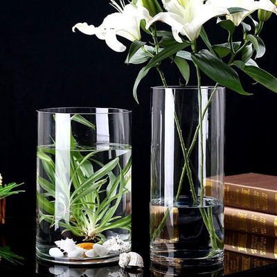 Des vases en verre minimalistes de 60 cm de haut La combinaison parfaite de style et de fonction