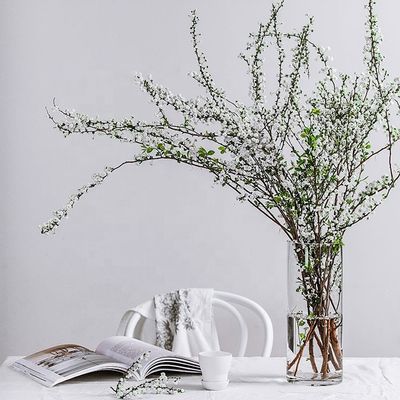Vase en verre clair pour décoration de toute saison 10-20 cm de diamètre