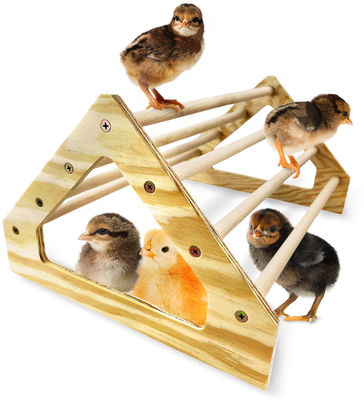 Chick gris Perche forte en bois Jungle Gym Roosting Bar Jouets de poulet pour Coop et Brooder