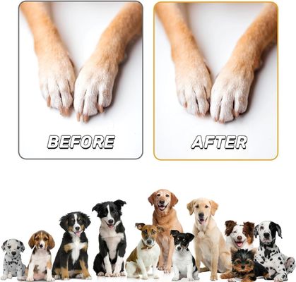 Matériel en bois pour chiens, garniture pour ongles, grattoir avec boîte à collations, échantillon gratuit