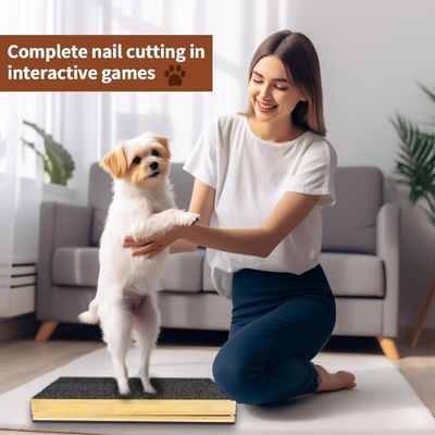 Pad de grattage pour chien/chat avec couvercle amovible et file d'ongle réglable sous différents angles