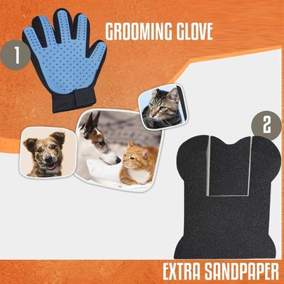 Planche à gratter pour ongles de chien avec boîte à friandises En forme d'os Pad de grattage pour chiens pour pattes d'ongles OEM