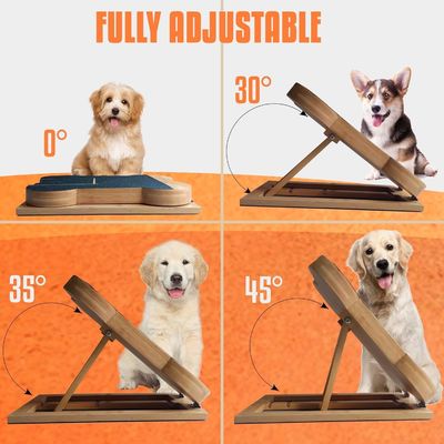 Planche à gratter pour ongles de chien avec boîte à friandises En forme d'os Pad de grattage pour chiens pour pattes d'ongles OEM