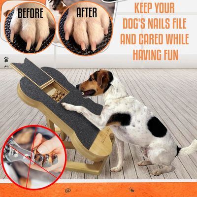 Planche à gratter pour ongles de chien avec boîte à friandises En forme d'os Pad de grattage pour chiens pour pattes d'ongles OEM