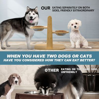 Échafaudage pour animaux de compagnie échafaudage pour animaux de compagnie échafaudage pour animaux de compagnie échafaudage pour animaux de compagnie échafaudage pour animaux de compagnie échafaudage pour animaux de compagnie échafaudage pour animaux de compagnie échafaudage pour animaux de compagnie échafaudage pour animaux de compagnie échafaudage pour animaux de compagnie échafaudage pour animaux de compagnie échafaudage pour animaux de compagnie échafaudage pour animaux de compagnie