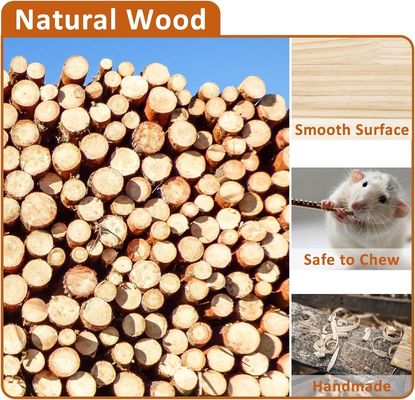 Plateforme debout pour hamster, jouet d'exercice, cage d'accessoires avec type de fermeture poussée