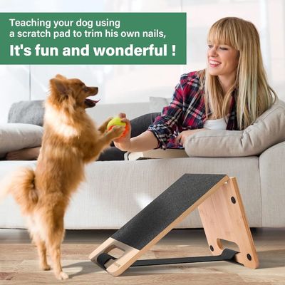 Garde-ongles pour chiens sans crainte, en économisant de l'espace avec un logo personnalisé et un design réglable