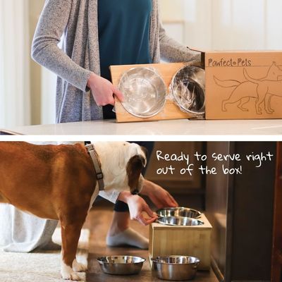 Stand de bol surélevé pour chien moyen 7 bols surélevé fournisseur d'alimentation pour animaux avec quatre bols en acier inoxydable