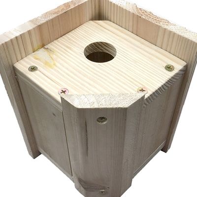 Maison entièrement assemblée Kit de maison d'oiseau en bois pour la maison traditionnelle Wren Type de cage en bois