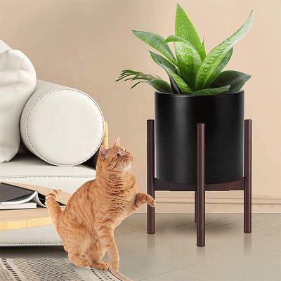 Échafaudage de plant de bois de bambou réglable pour le poids de support élevé extensible intérieur extérieur