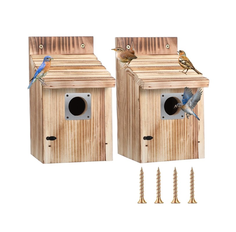 Logo personnalisé Acceptable 2 Pack Cedar Bluebird Boîtes de maison pour l' extérieur