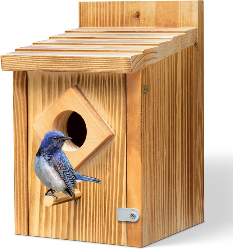 Boîte de nidification d'oiseau bleu avec construction en bois et traitement de peinture pulvérisée étanche