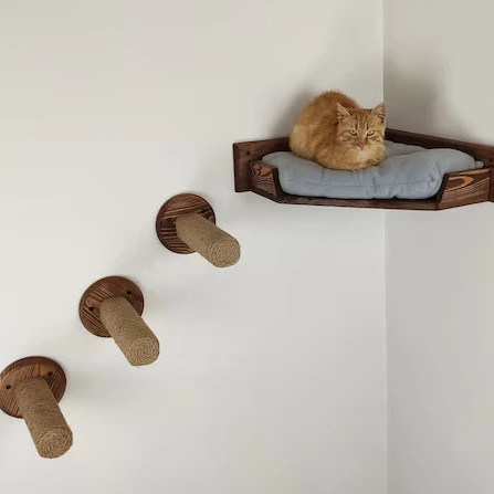 Maison de jeu pour chats monté sur le mur avec lit de chat en bois naturel