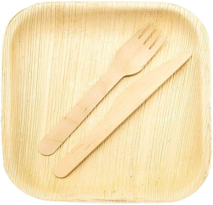Eco-friendly 20 Pack Biodégradable Plaques de feuilles de palmier 10 pouces carrés Robuste comme le bambou Elegant jetable