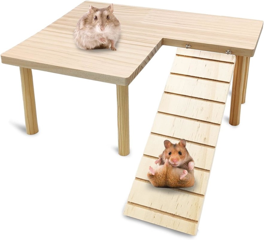 Plateforme debout pour hamster, jouet d'exercice, cage d'accessoires avec type de fermeture poussée